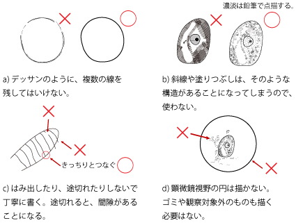 施術者のための常備図書｜M's CREW｜note