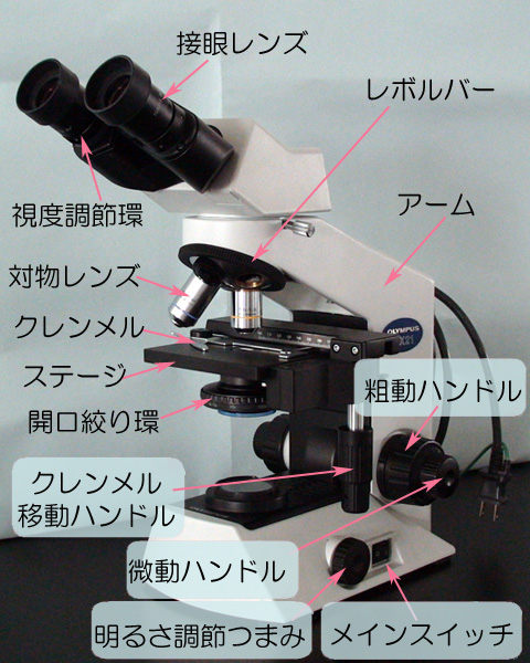 安値 顕微鏡