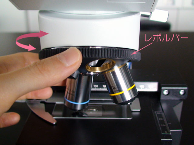 生物学実験 顕微鏡の使い方 慶應義塾大学日吉キャンパス 特色ｇｐ 文系学生への実験を重視した自然科学教育