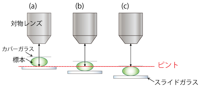 microscopefig5.jpg