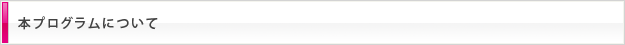 本プログラムについて