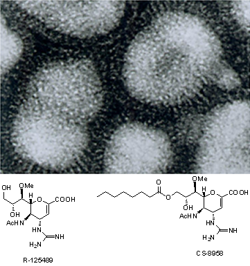 インフルエンザウイルスとインフルエンザ治療薬の構造式